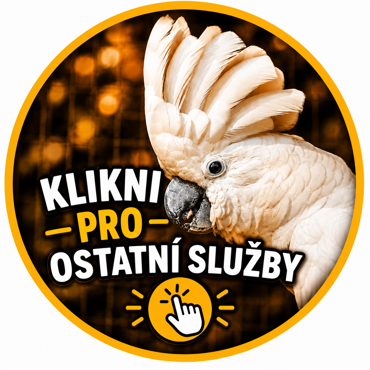 SLUŽBY NA POMOC PAPOUŠKŮM