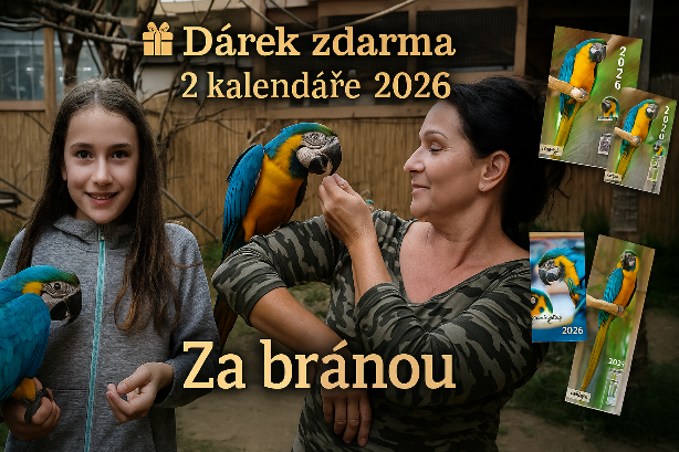 Zážitek s papousky focení