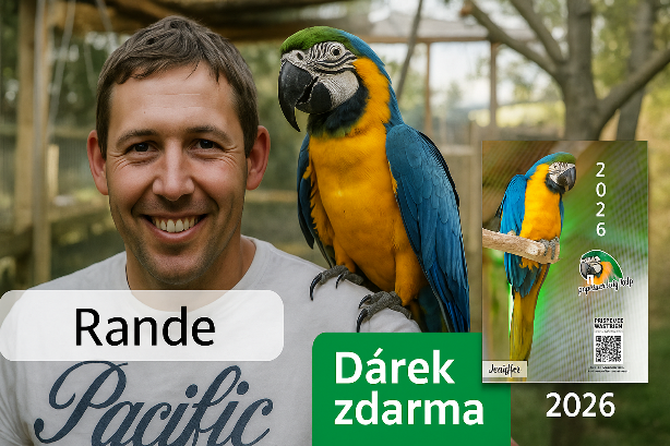 Fotky a videa s papoušky