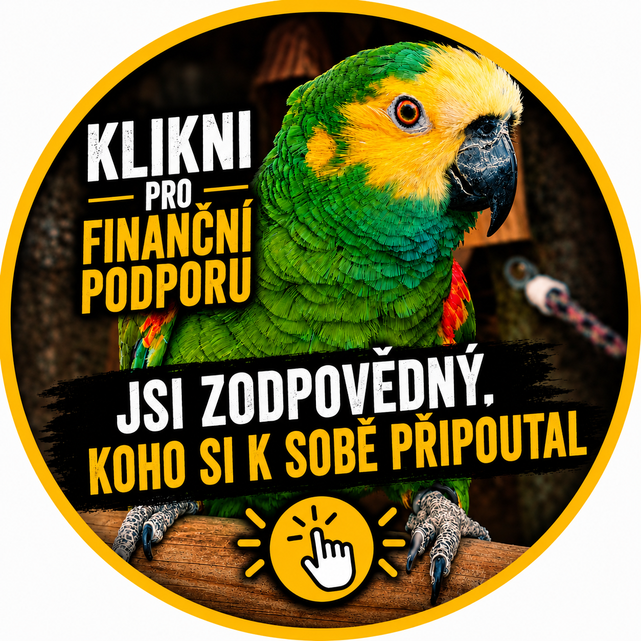 PODPORA PRO POMOC V NOUZI