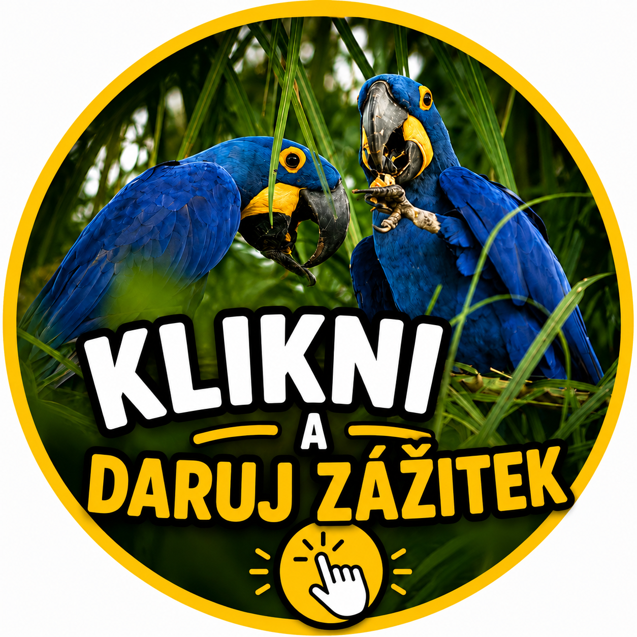 KLIKNI A DARUJ ZÁŽITEK S PAPOUŠKY