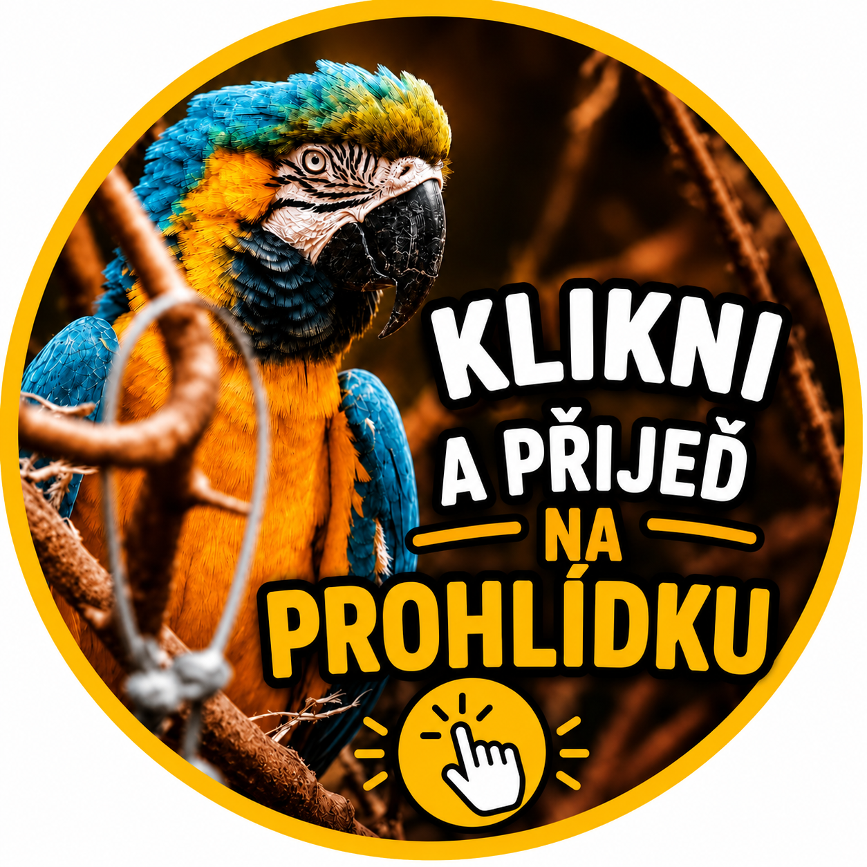 KLIKNI A PRIJED NA PAPOUSKY