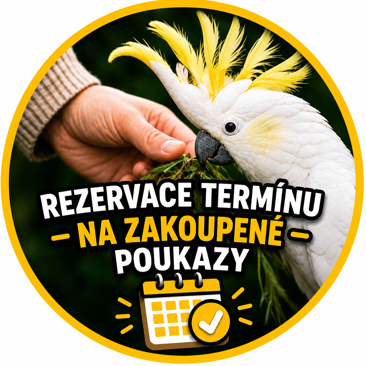 Vaše rezervace