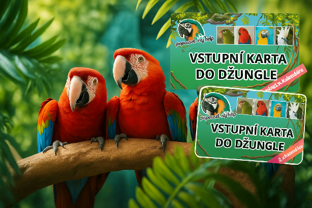 LIMITOVANÁ NABÍDKA