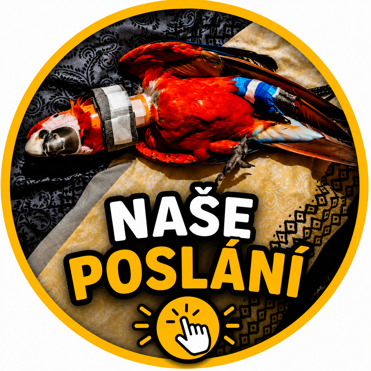 Kdo vlastně jsme?