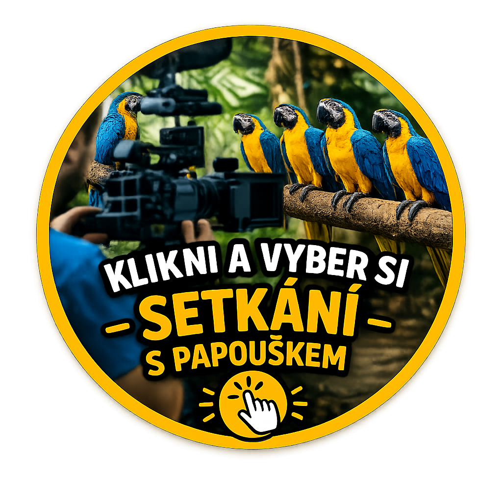 SETKÁNÍ S PAPOUŠKEM