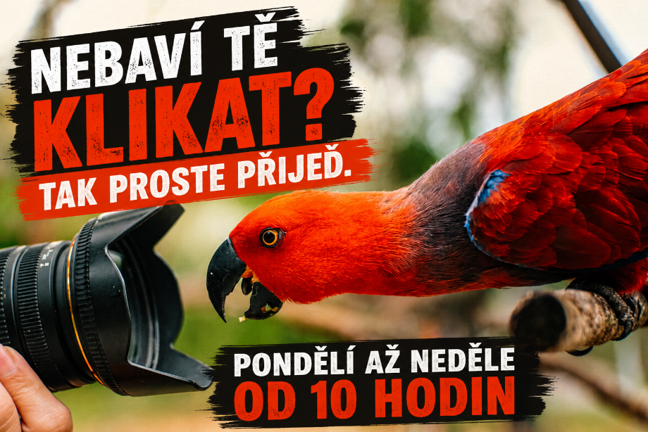 Zážitek s papoušky pro celou rodinu
