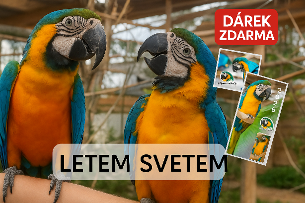 Zážitek pro celou rodinu