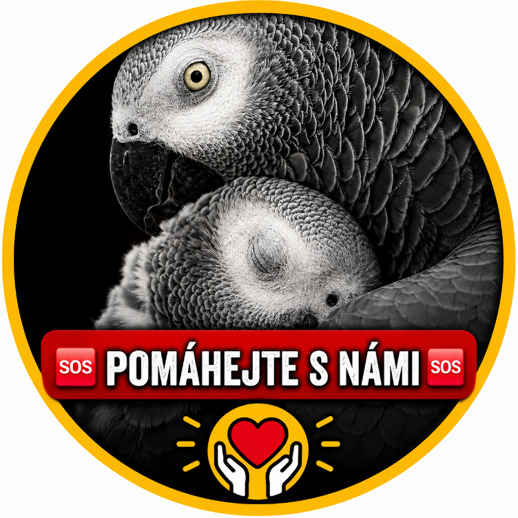 Pomoc v nouzi