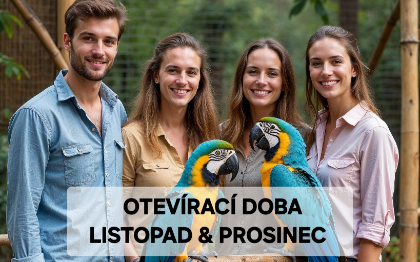 Otevírací doba a mapa