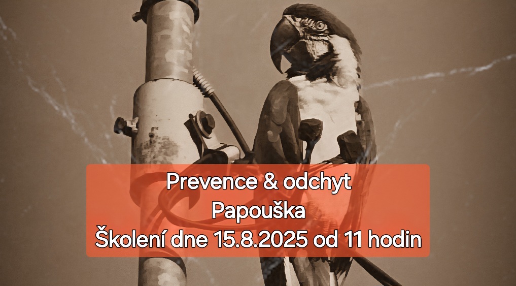 Papoušek na úletu