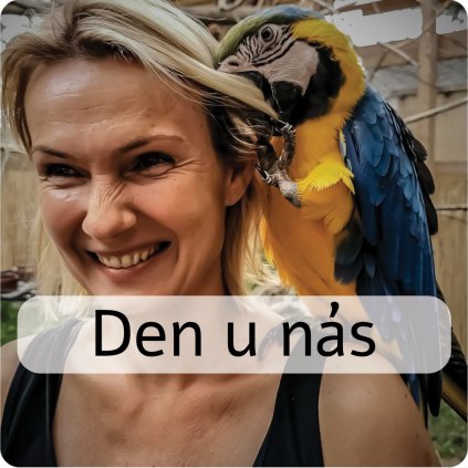 den u nás