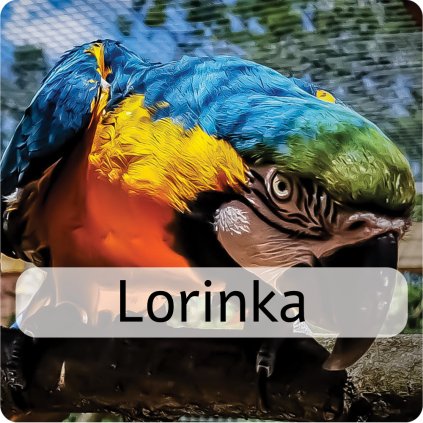lorinka