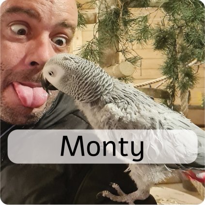 monty