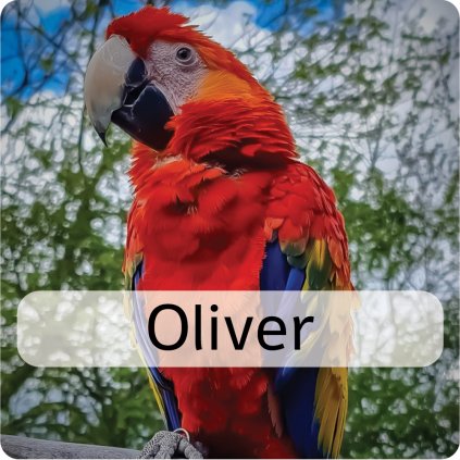 oliver