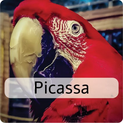 picassa