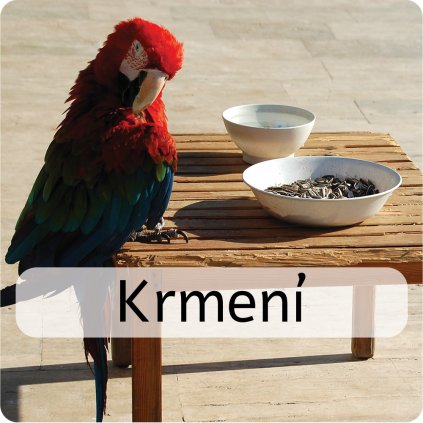 krmení