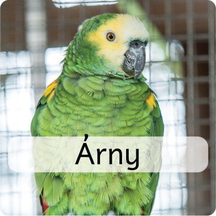 árny