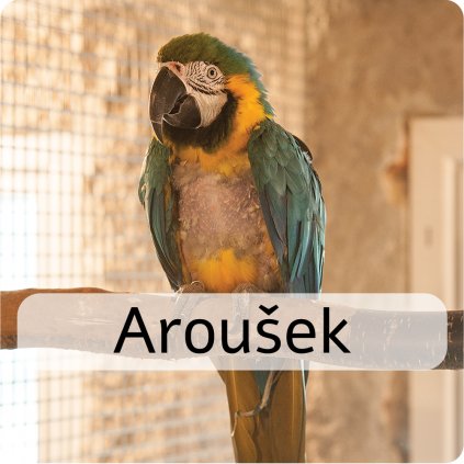 aroušek
