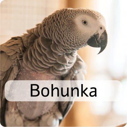bohunka