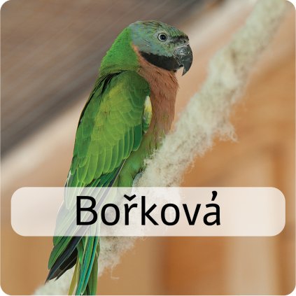 bořková