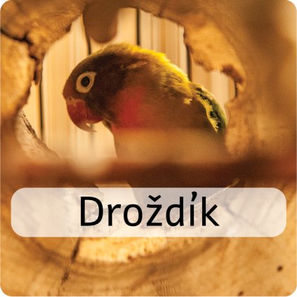droždík
