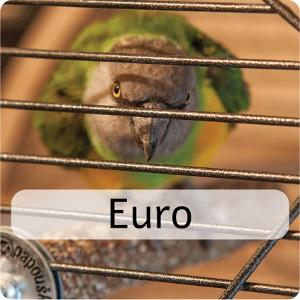 euro