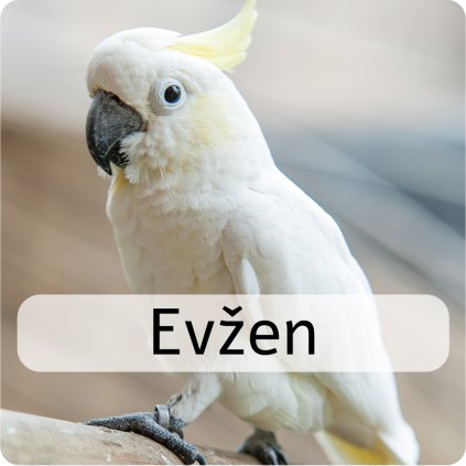 evžen2