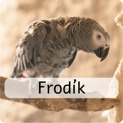 frodík