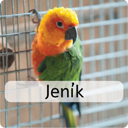 jeník