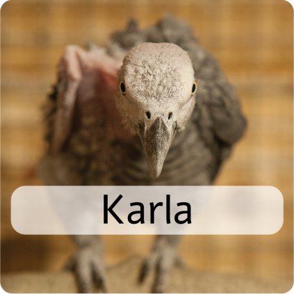 karla