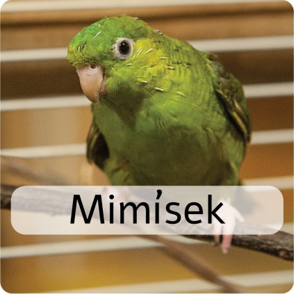 mimísek
