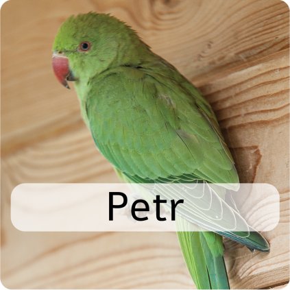 petr