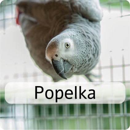 popelka