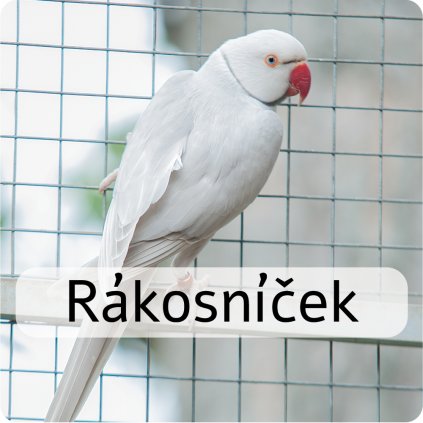rákosníček