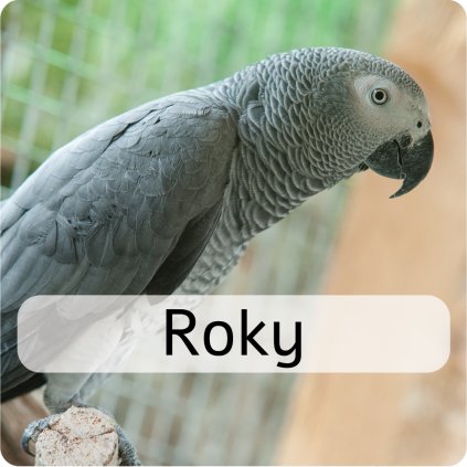 roky