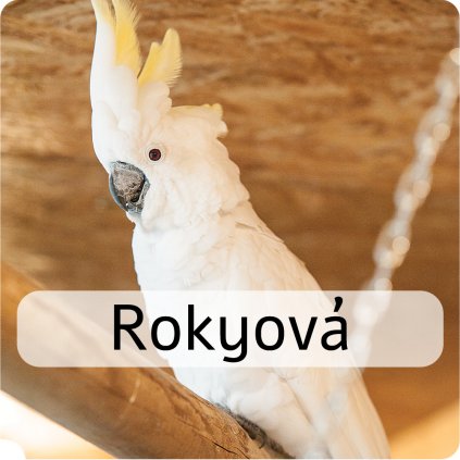 rokyová
