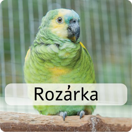 rozárka 4