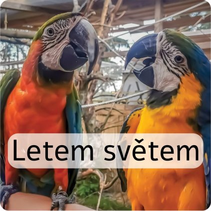 letem světem