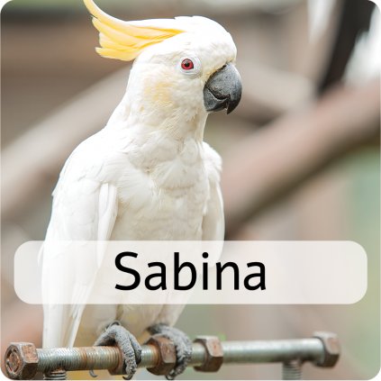 sabina