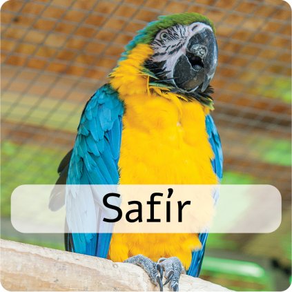 safír