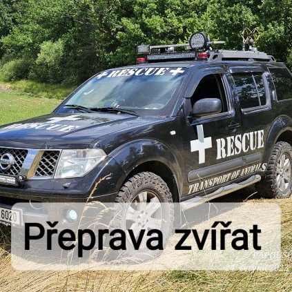 Přeprava zvířat