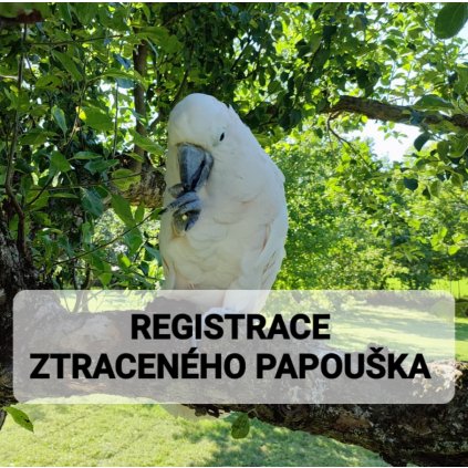 REGISTRACE ZTRACENEHO EXEMPLARE