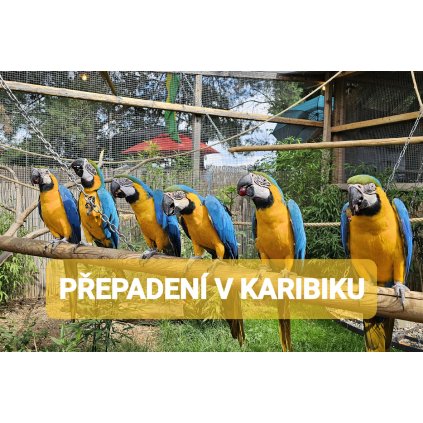PŘEPADENÍ V KARIBIKU