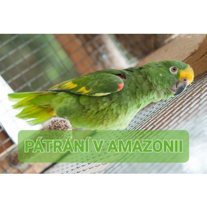 PÁTRÁNÍ V AMAZONII