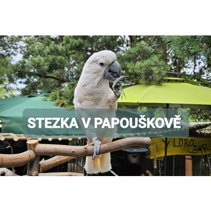 STEZKAMI V PAPOUŠKOVĚ
