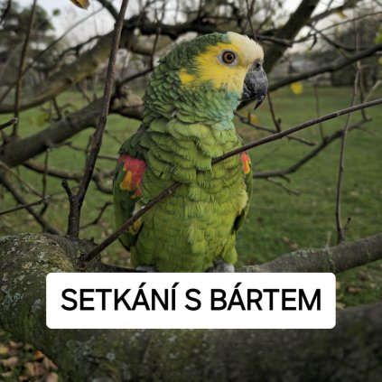 SETKÁNÍ S BÁRTEM