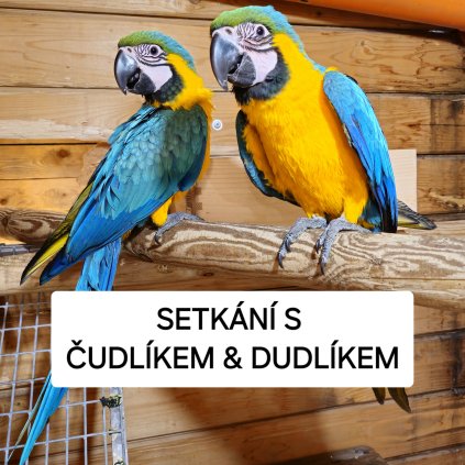 SETKÁNÍ S ČUDLOU A DUDLOU