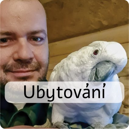 ubytování
