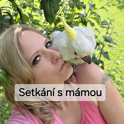 Setkání s mámou